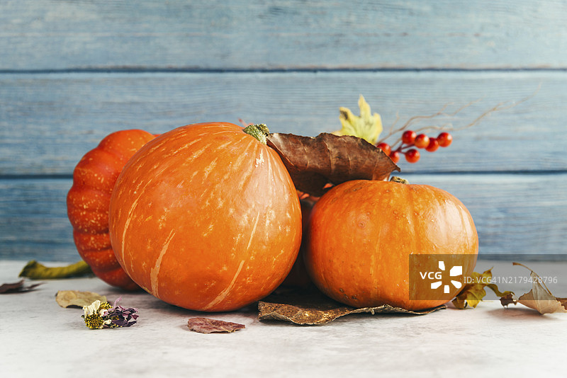 南瓜与树叶桌面静物图片素材