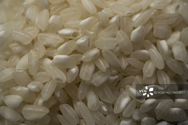 失焦的稻米特写图片素材