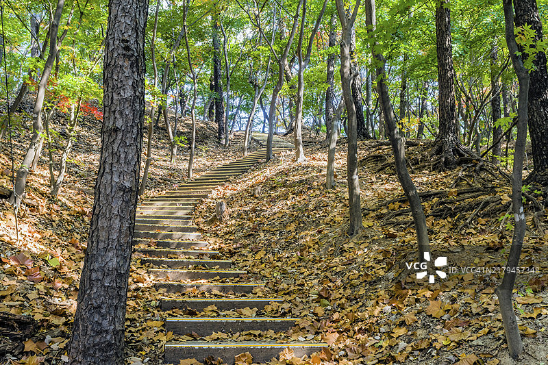 阳光明媚的秋日山腰台阶图片素材