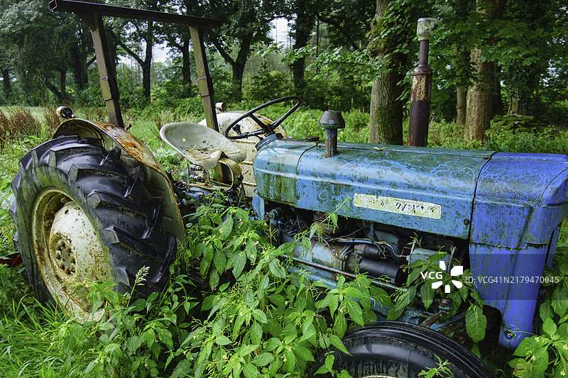 被绿色植物覆盖的旧拖拉机，荷兰，海尔德兰省图片素材