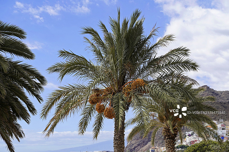 西班牙加那利群岛特内里费岛拉斯特雷西塔斯海滩图片素材