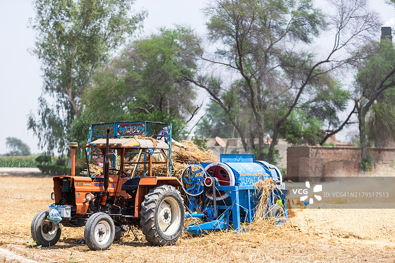 收割小麦图片素材