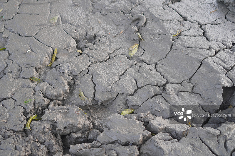 土壤开裂了图片素材
