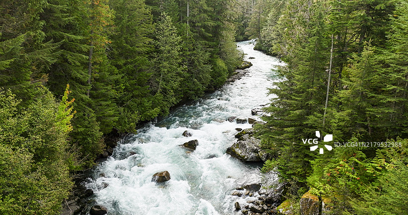 森林中蜿蜒河流的鸟瞰图图片素材