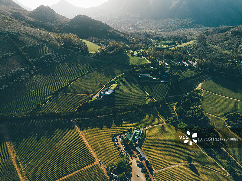 南非开普敦附近的康斯坦提亚葡萄园。图片素材