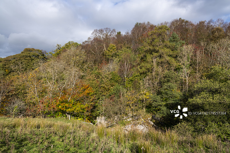 英格兰坎布里亚郡塞德伯格的秋色图片素材
