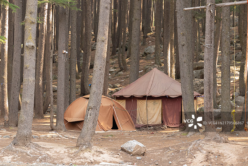 森林居民图片素材