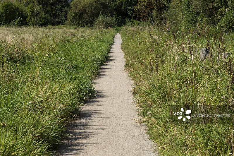 德国汉堡艾德尔施泰特费尔德马克自然保护区夏季潮湿草甸徒步小径图片素材