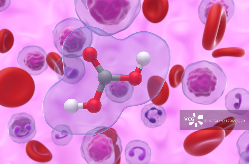 碳酸分子结构示意图图片素材