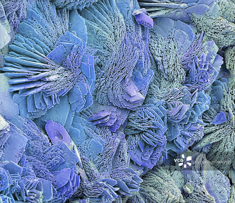 水垢，扫描电子显微镜图像图片素材