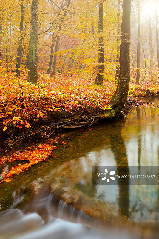 秋天的色彩图片素材
