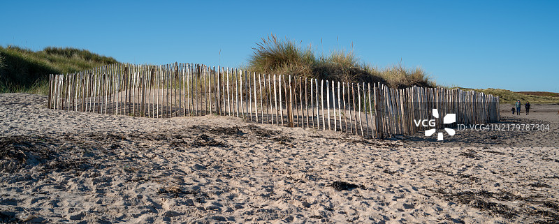 诺森伯兰郡班堡的沙丘恢复图片素材