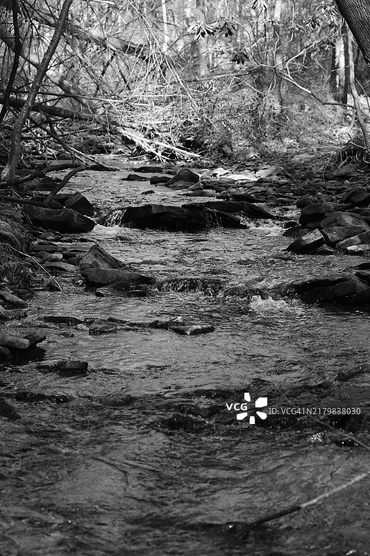 密林中流淌的河流图片素材