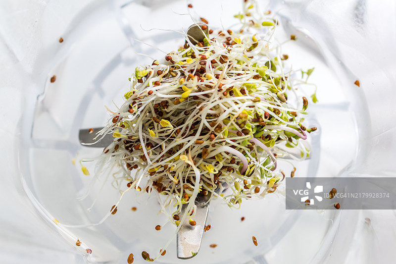 搅拌机上的西兰花芽苗特写图片素材