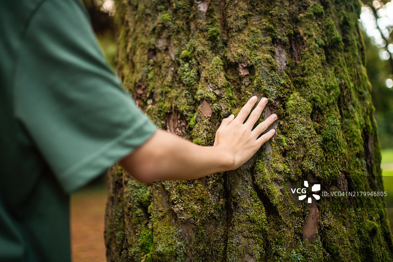 少年手触树木特写：森林浴与自然连接图片素材