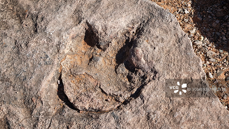 亚利桑那州肖恩托和卡延塔附近的纳瓦霍国家纪念碑游客中心的恐龙足迹图片素材