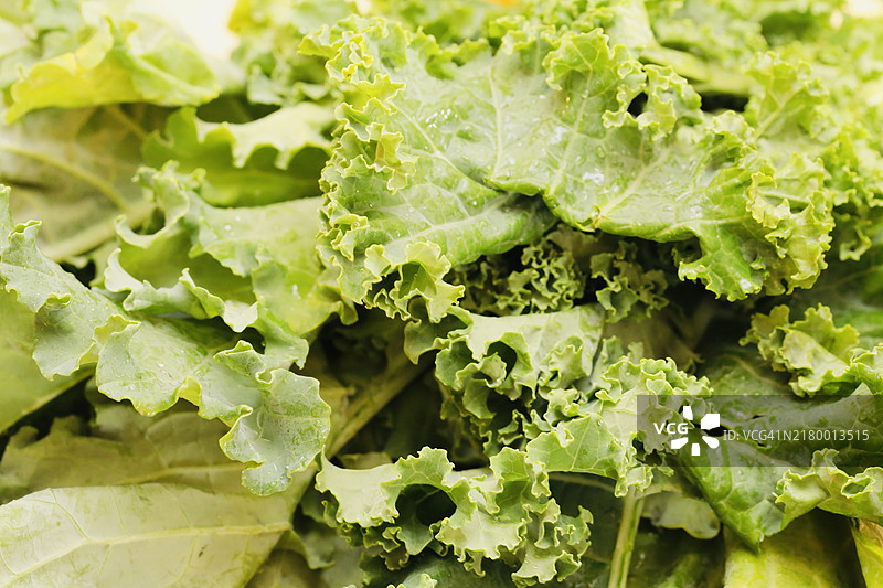 生菜特写镜头图片素材