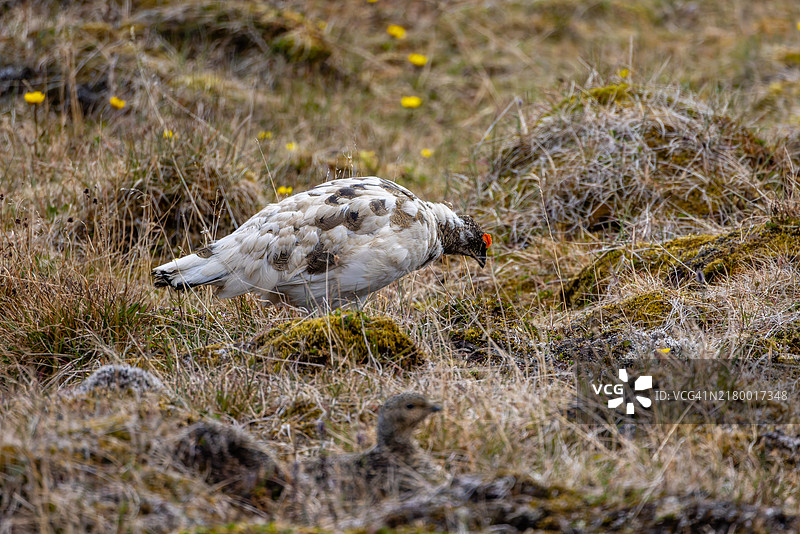 你认出面前的女性了吗？图片素材