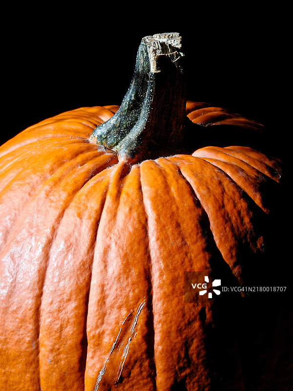 南瓜特写图片素材