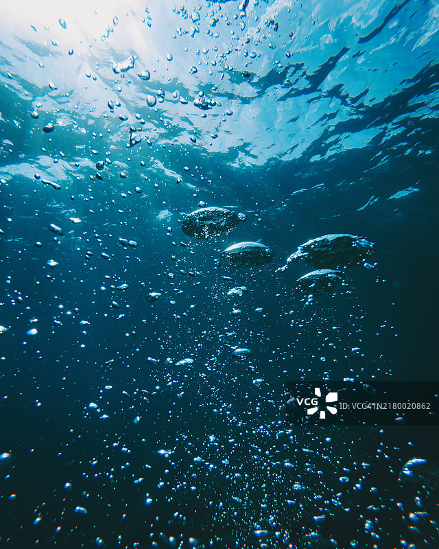 低角度视图的鱼在海底游泳图片素材