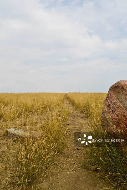 萨斯喀彻温省，加拿大，天空下的田野美景图片素材