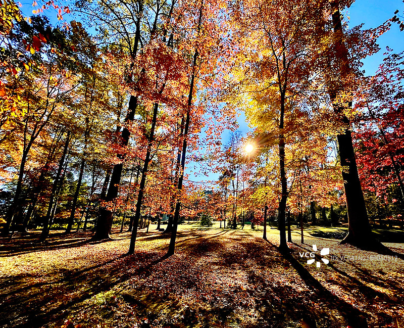 宾夕法尼亚州查兹福特的秋日阳光图片素材