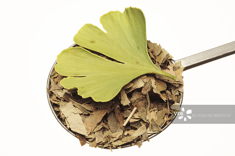 干银杏叶和整片叶子，药用上，银杏被认为具有促进血液循环的作用，因此服用植物或提取物的部分以改善精神表现图片素材