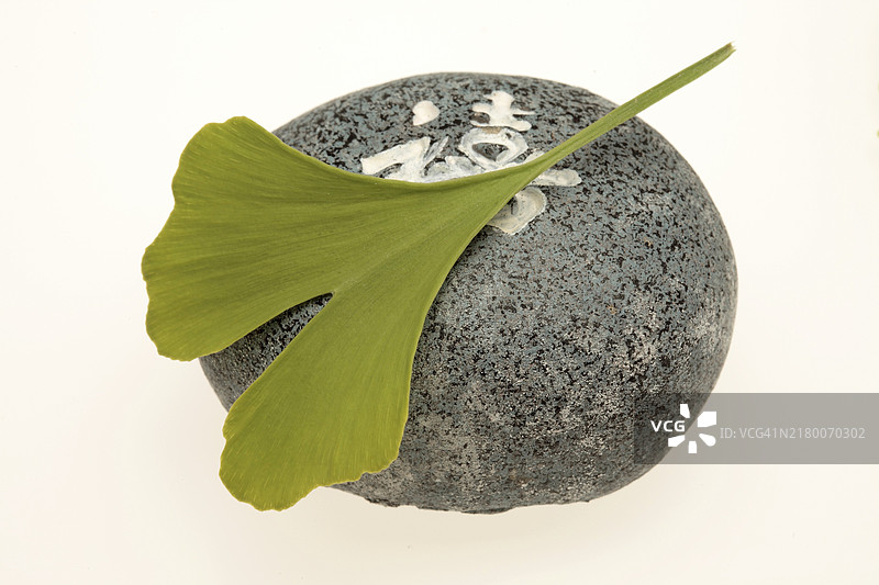 银杏叶：具有促进血液循环的功效图片素材