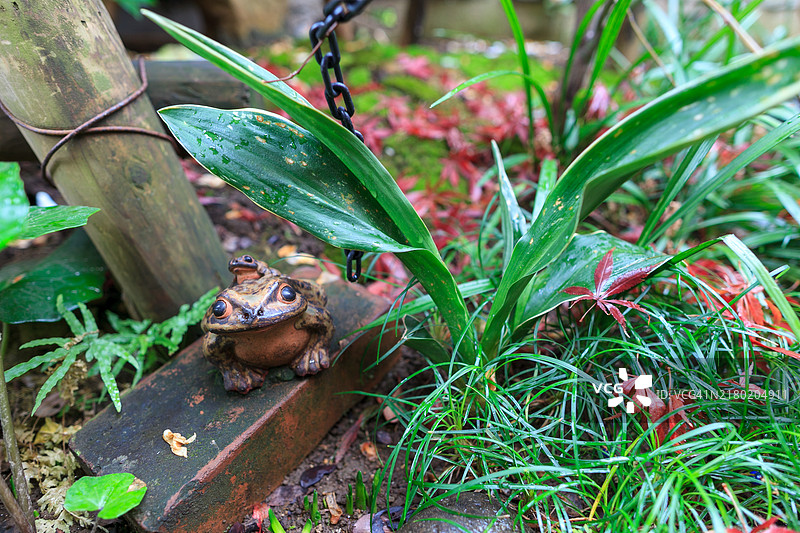 冬季东京景色图片素材