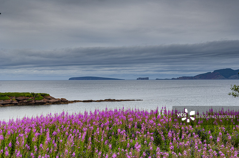 魁北克，加斯佩半岛的海景图片素材