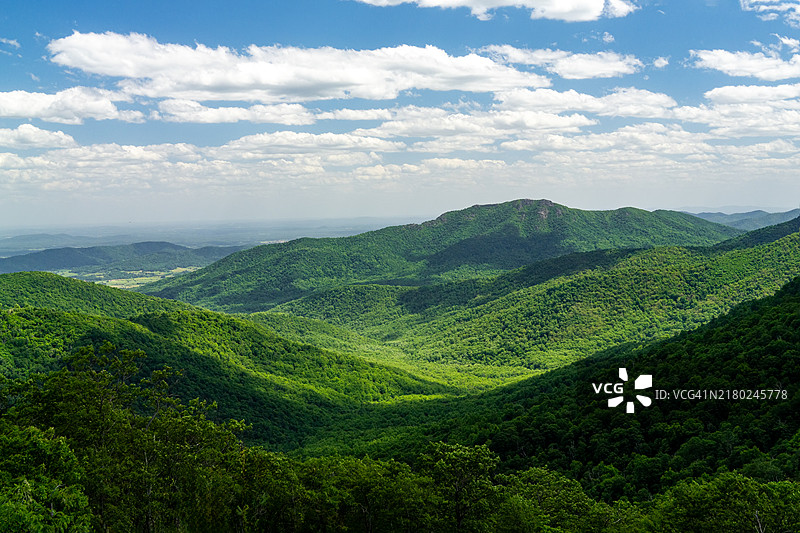 蓝岭山脉郁郁葱葱的森林中雾气升腾图片素材