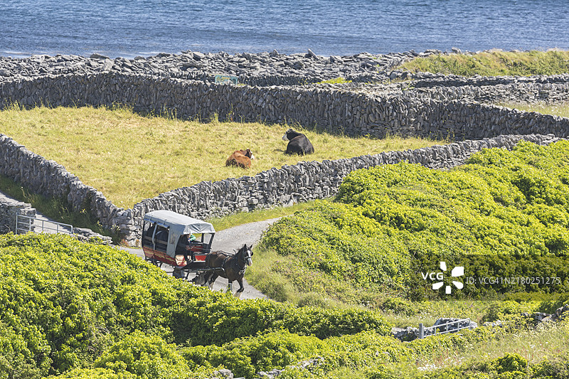 爱尔兰伊尼希尔村庄的马车图片素材
