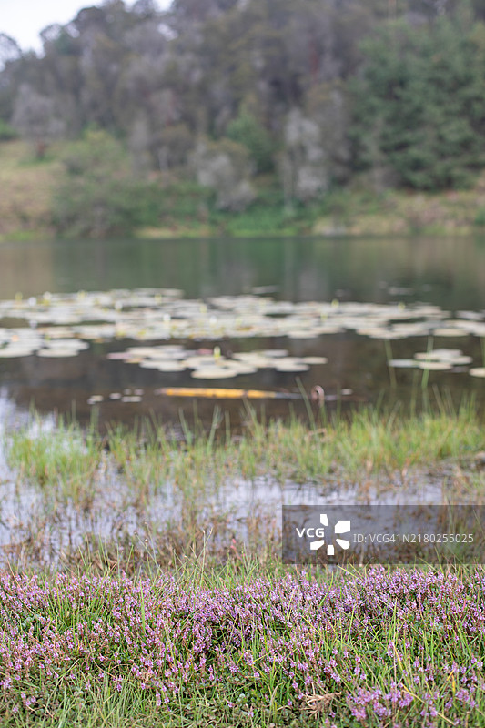 泰米尔纳德邦自然风光图片图片素材