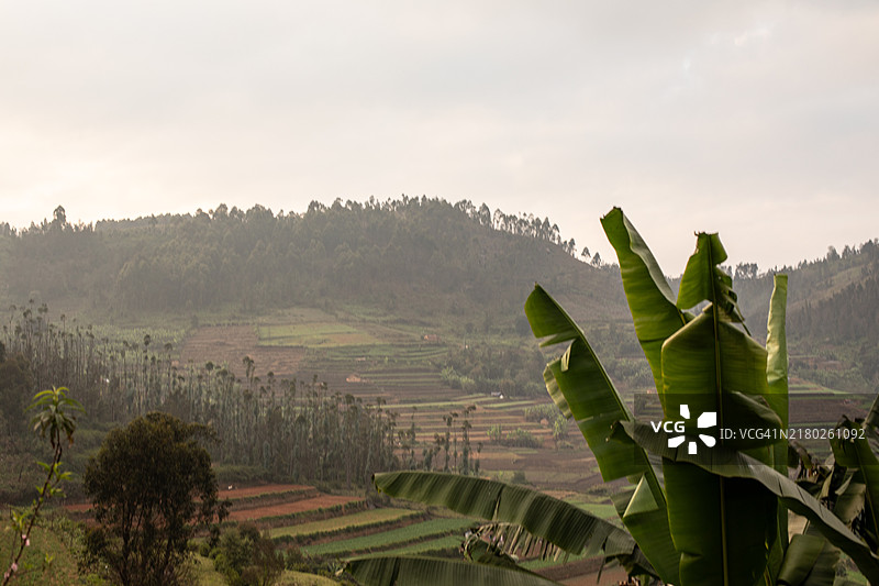 印度泰米尔纳德邦帕拉尼山图片素材