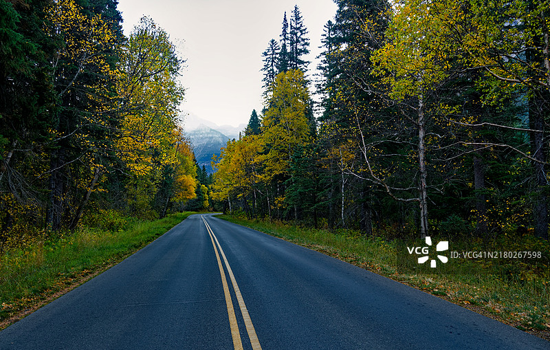 秋季蒙大拿州森林中树木间的空旷道路，美国图片素材