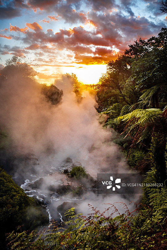 树木与天空的美丽景色图片素材