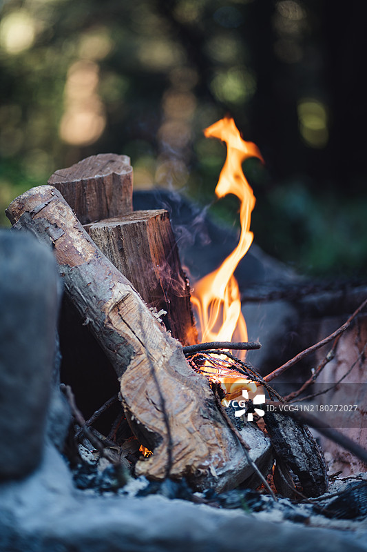 加利福尼亚州的篝火特写图片素材