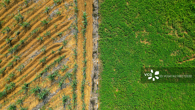 中国农业田野的全景拍摄图片素材