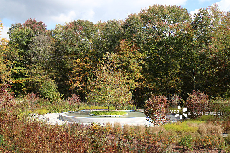 树木与天空的美丽景色图片素材