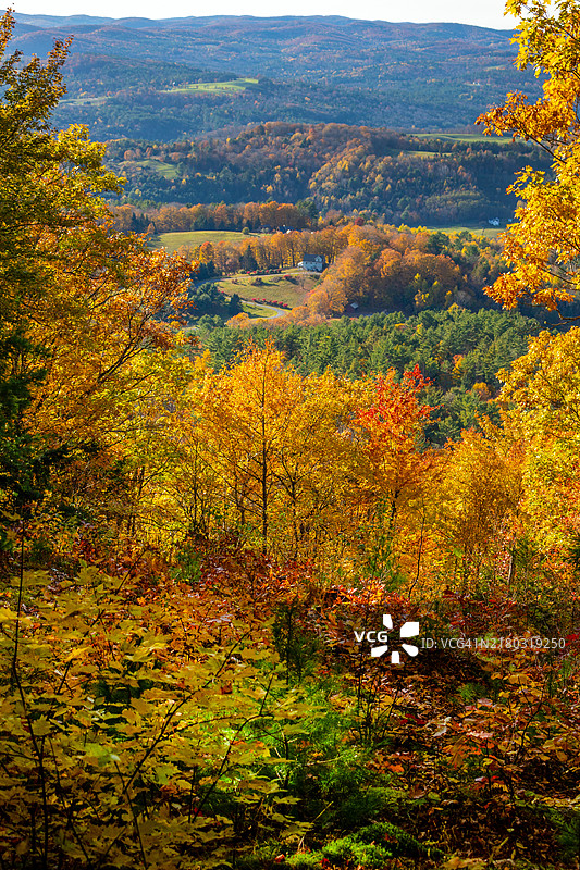 美国佛蒙特州布拉德福德赖特山秋景图片素材
