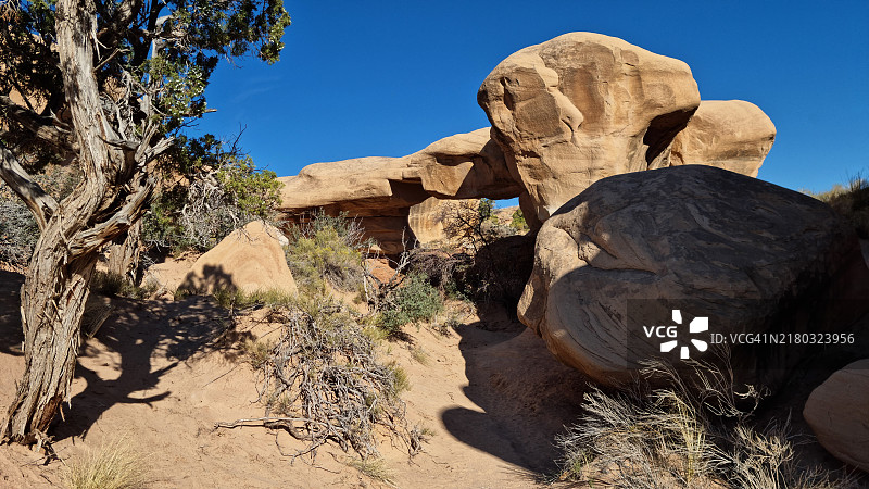 犹他州大阶梯-埃斯卡兰特国家纪念碑魔鬼花园的天然拱门图片素材