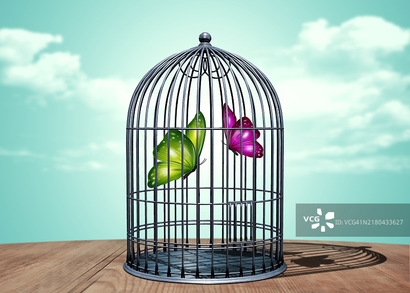 两只被锁在鸟笼里的蝴蝶图片素材