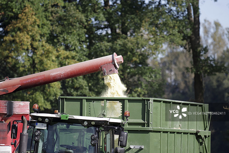 农业，收成，玉米，玉米粉，车辆，德国，玉米粉通过管道输送到拖车上，欧洲图片素材