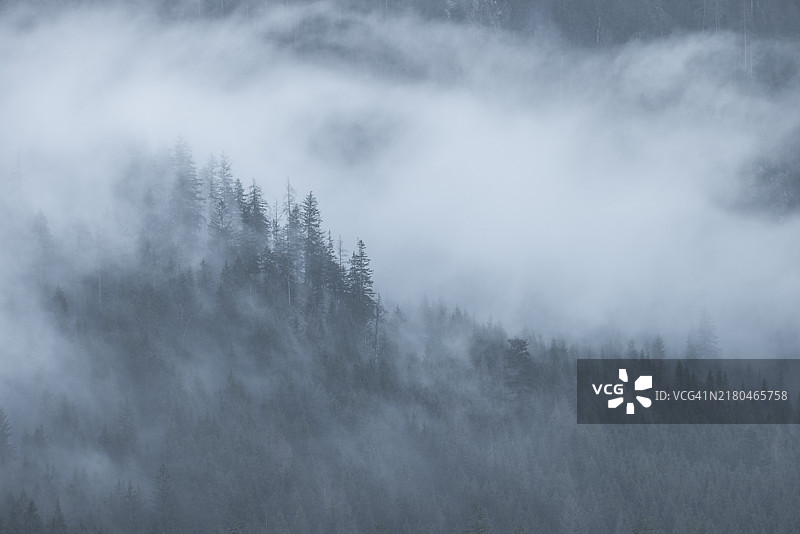 山中的雾图片素材