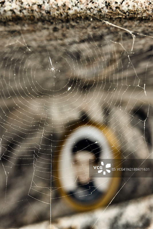 墓碑上的蜘蛛网，墓地中死者模糊照片，意大利撒丁岛奥利亚斯特拉巴里萨尔多图片素材