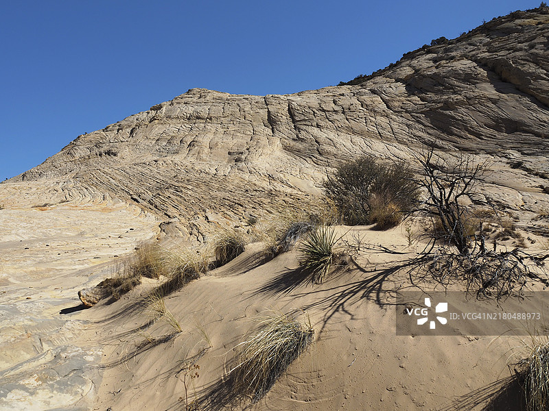 大角峡谷，犹他州大阶梯-埃斯卡兰特国家纪念碑哈里斯沃什支流图片素材