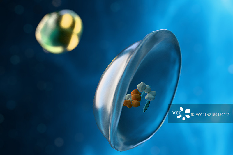 细胞自噬场景。自噬体分解细胞内废物。图片素材