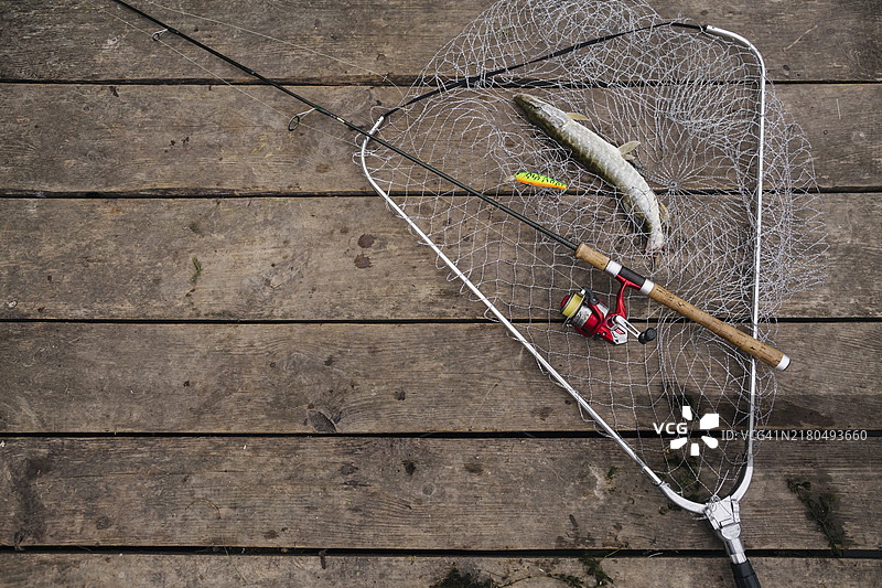 渔网内新鲜捕获的鱼，带有钓鱼竿木制码头图片素材