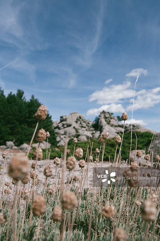 拉佩德里萨图片素材