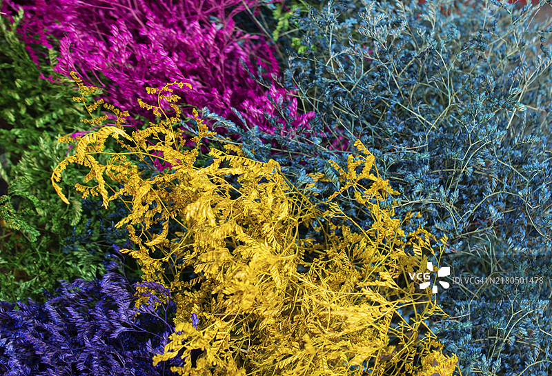 用于装饰目的的彩色干花图片素材